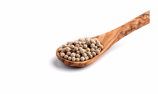 CORIANDER