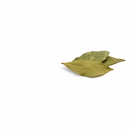 tejpata