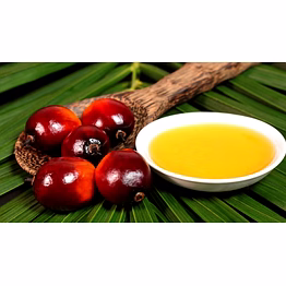 palm oil