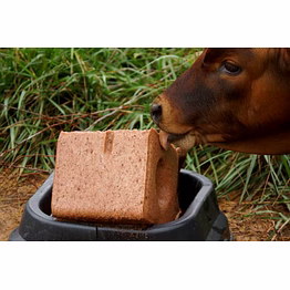cattle mineral block