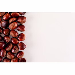 american chestnuts