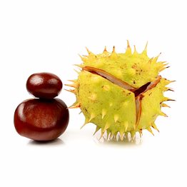 chinese chestnuts