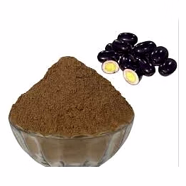jamun seed powder