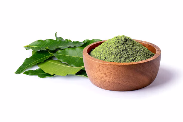 neem leaf powder
