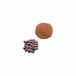 tamarind seed powder
