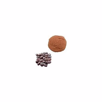 tamarind seed powder