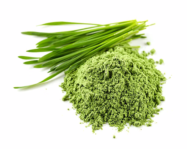 wheat grass powder