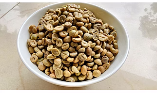 Robusta Green Coffee AA