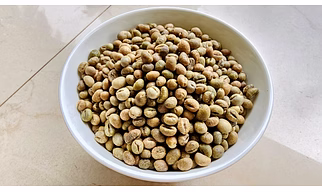 Robusta Green Coffee Beans Peaberry