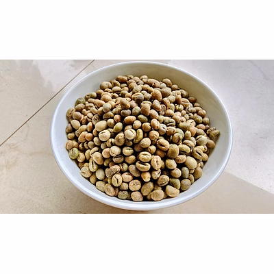 robusta green coffee beans peaberry