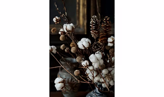 Cotton lint