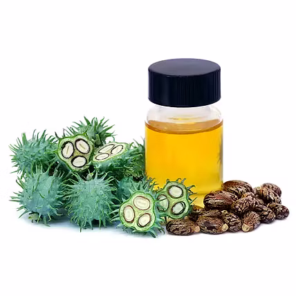 Castor Seed Oil-12749141