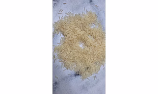 Basmati Rice 1121 Sella