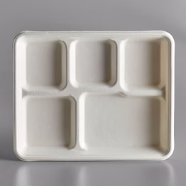 sugat 5cp_meal tray_da15