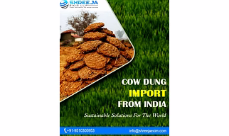 Cow Dung