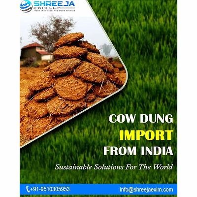 cow dung