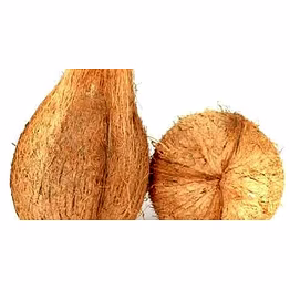 semi hus coconut