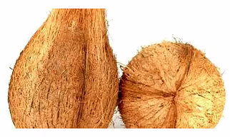 Semi hus coconut