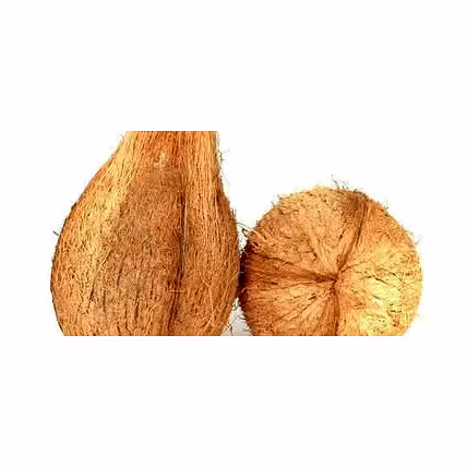Semi hus coconut-12750899
