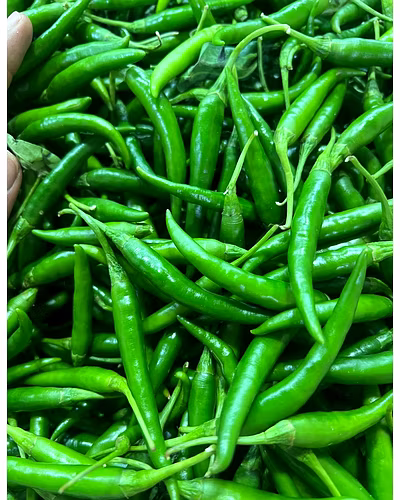 Green Chilli – Jaffrabad (Nashik)-3