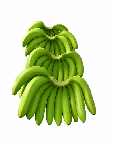 Green Banana – G9 Variety (Nashik)-3