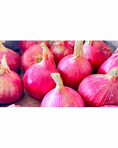 Red Onion (Nashik)-&lt;50mm-2