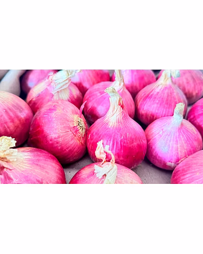 Red Onion (Nashik)-&lt;50mm-1