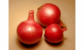 Red Onion (Nashik)