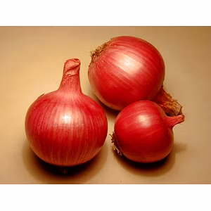 Red Onion (Nashik)