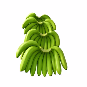 Green Banana – G9 Variety (Nashik)
