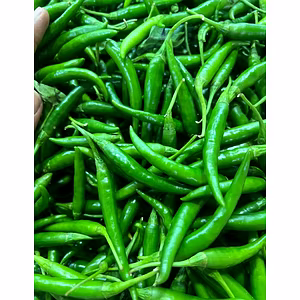 Green Chilli – Jaffrabad (Nashik)