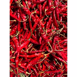 khetagro red chilli - teja