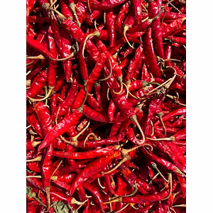Red chilli - Teja