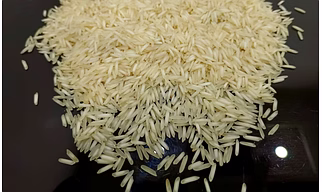 basmati rice 1121