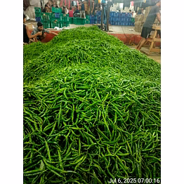green chilli g4