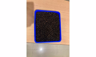 BLACK PEPPER