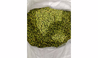 Cardamom