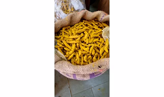 Turmeric