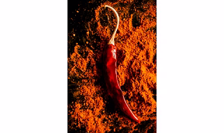 Dry Red Chilli