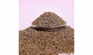 Cumin Seeds