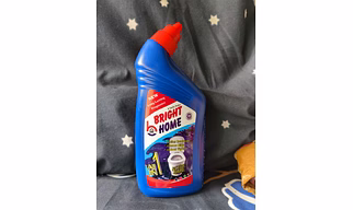 Toilet cleaner