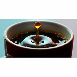 liquid chicory extract