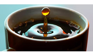 Liquid Chicory Extract