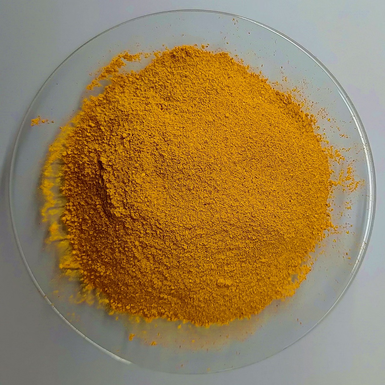 Cordyceps Militaris powder image 4