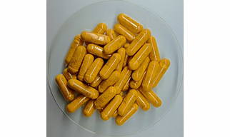 Cordyceps Militaris