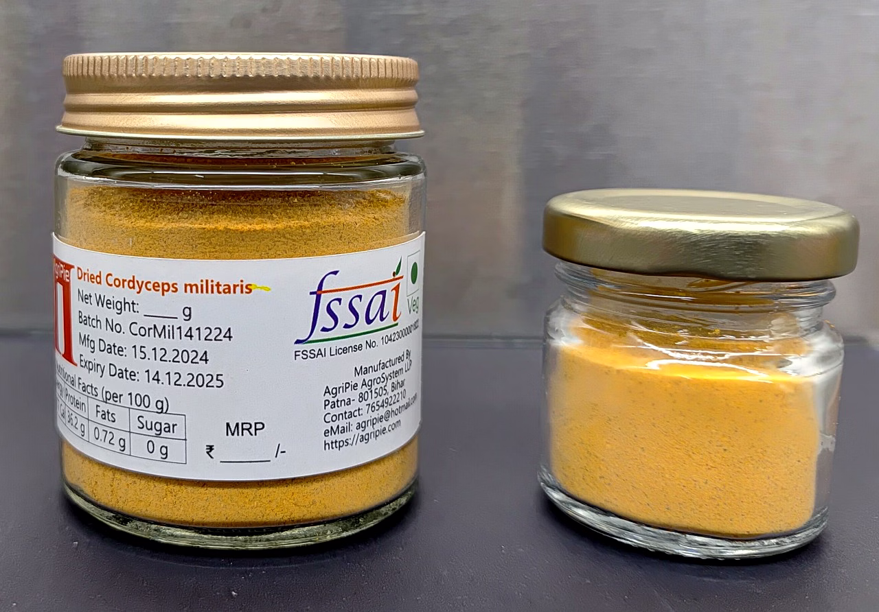 cordyceps militaris powder