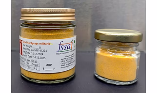 Cordyceps Militaris powder