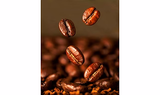 Robusta Coffee