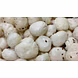 Foxnut-Phool Makhana-1-sm