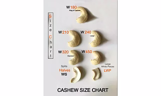 Cashew